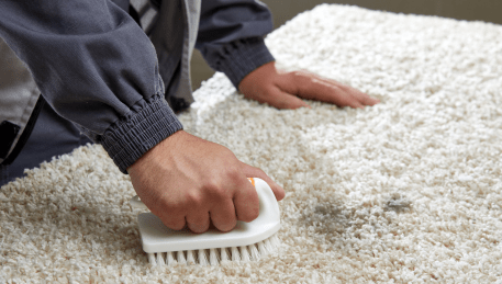Professional Rug Cleaning Elwood